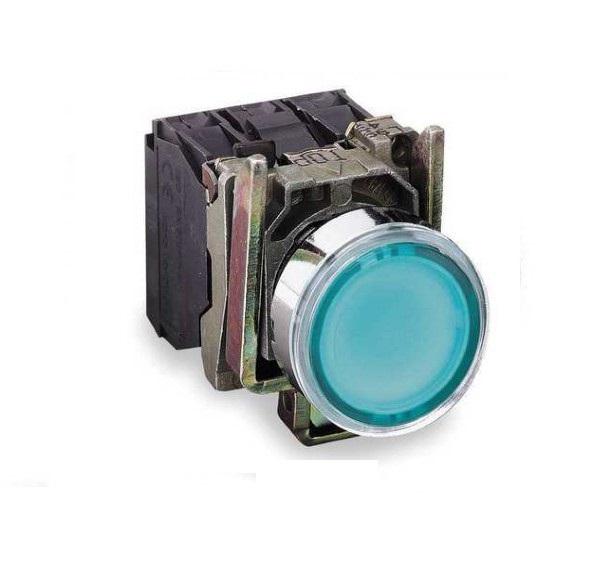 پوش باتن فلزی سبز اشنایدر XB4BW3365