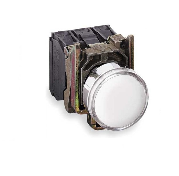 پوش باتن فلزی سفید اشنایدر XB4BW3165